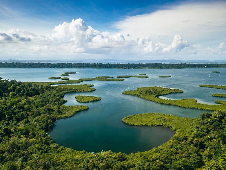 Panama.热带岛屿鸟瞰图. 野生海岸线郁郁葱葱的异域绿色丛林. 红蛙海滩在巴斯蒂门托斯岛，博卡斯德尔托罗，中美洲，巴拿马.